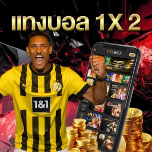 แทงบอล1X2