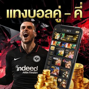 แทงบอลคู่-คี่