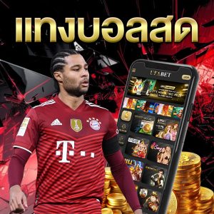 แทงบอลสด