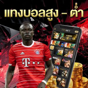 แทงบอลสูง---ต่ำ