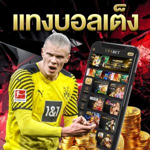 แทงบอลเต็ง